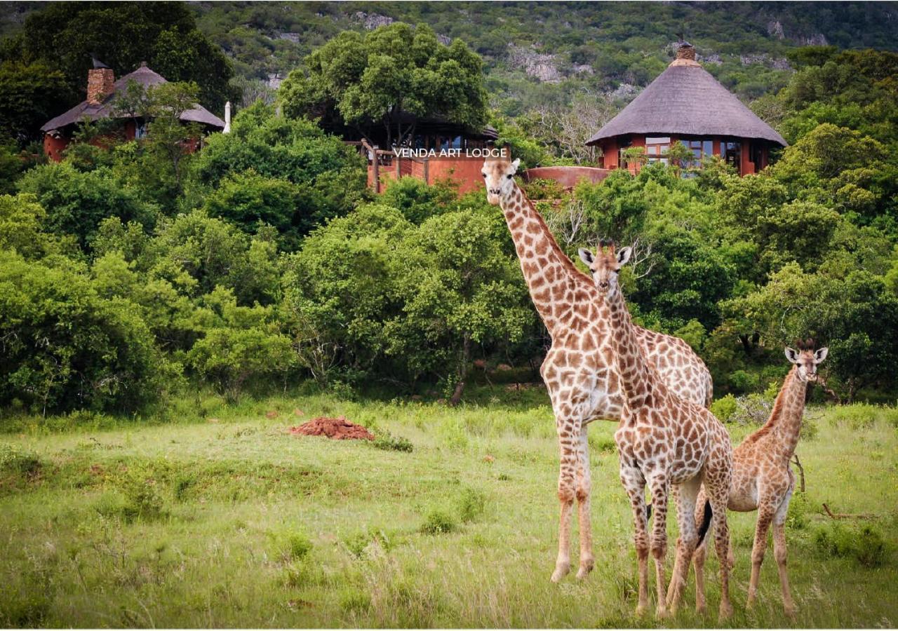 Leshiba Wilderness Villa Louis Trichardt Dış mekan fotoğraf