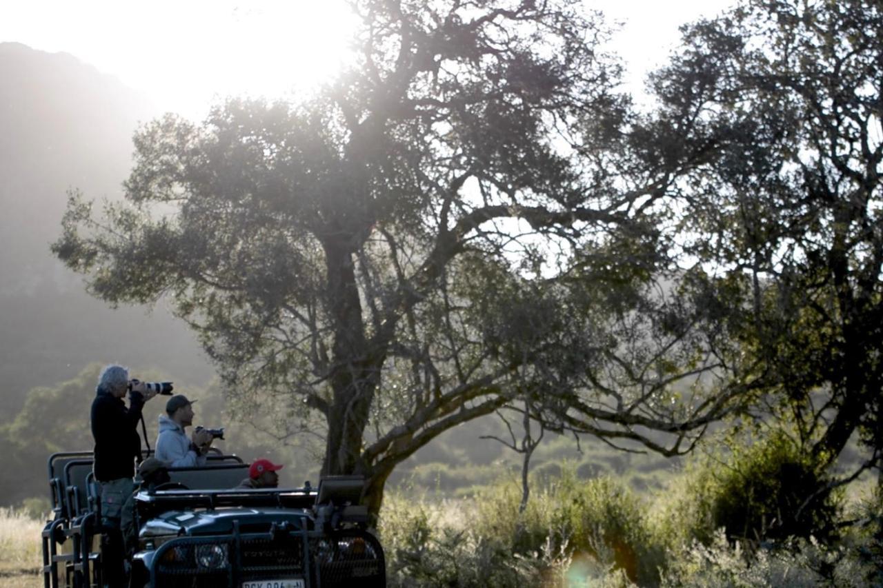 Leshiba Wilderness Villa Louis Trichardt Dış mekan fotoğraf