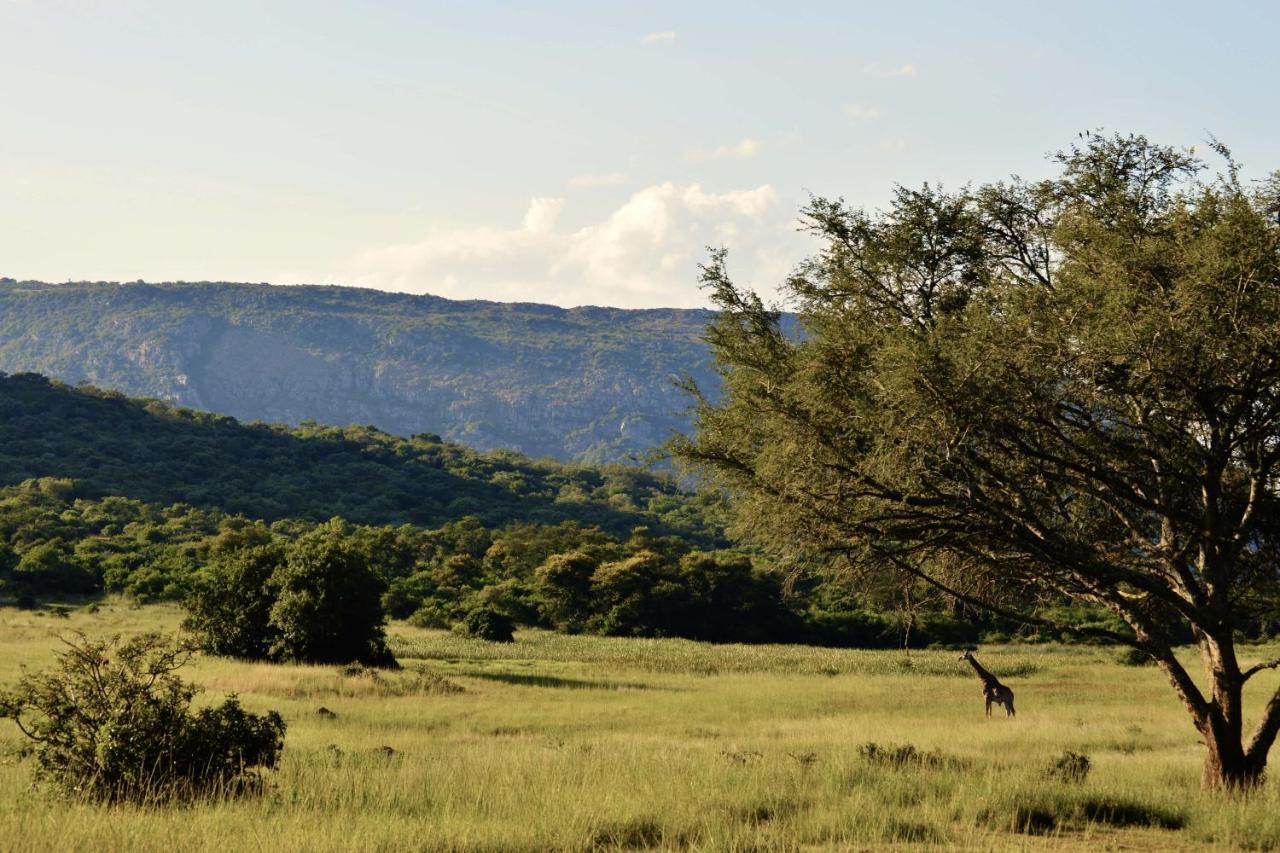Leshiba Wilderness Villa Louis Trichardt Dış mekan fotoğraf