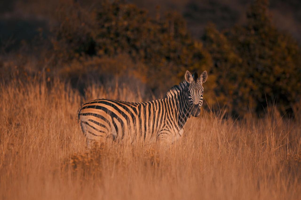 Leshiba Wilderness Villa Louis Trichardt Dış mekan fotoğraf
